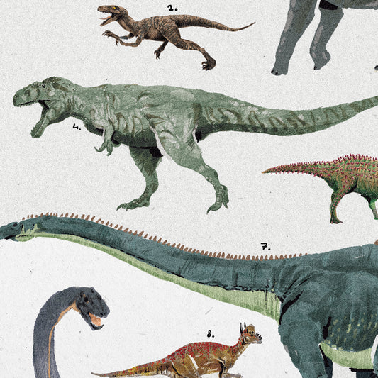 Poster Ilustrado - Dinossauros