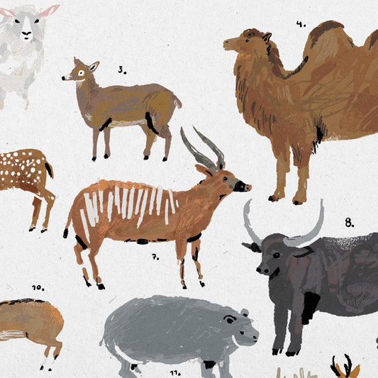 Poster Ilustrado - Artiodátilos