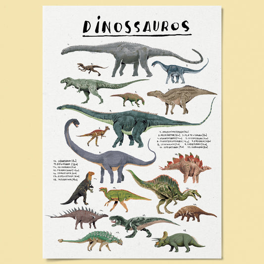 Poster Ilustrado - Dinossauros