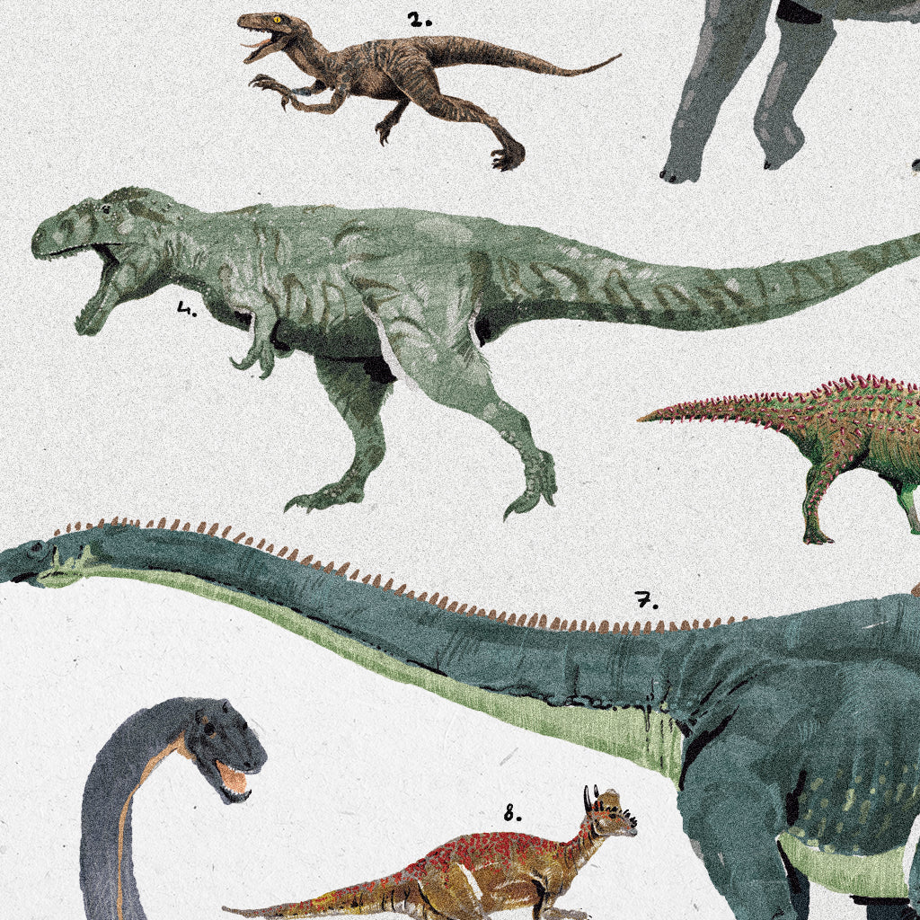 Poster Ilustrado - Dinossauros