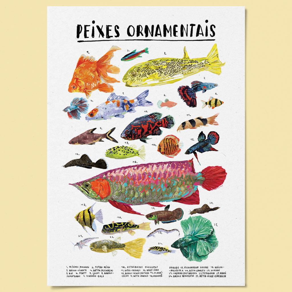 Poster Ilustrado - Peixes Ornamentais